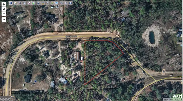 a view of a forest with a tree