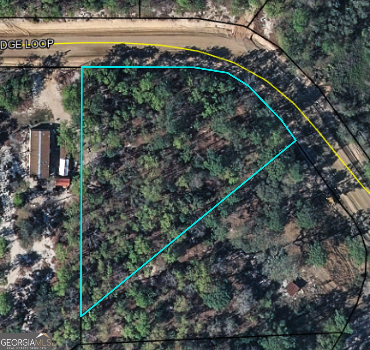 Lot 51 Ridge Loop Blackshear, GA 31516 - Photo 4 of 4