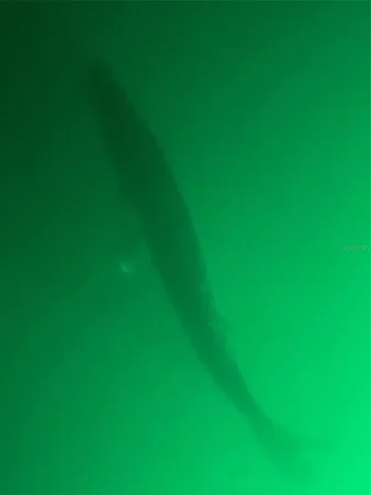 $4,000 | 490 Creek Ln Drive, Englewood, FL 34223