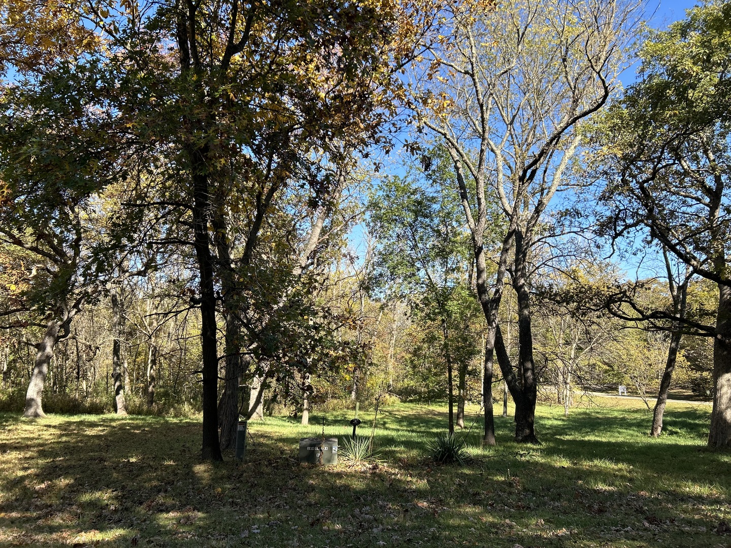 919 Missouri Drive Dixon, IL 61021 - Photo 14 of 18 a view of outdoor space with garden and trees