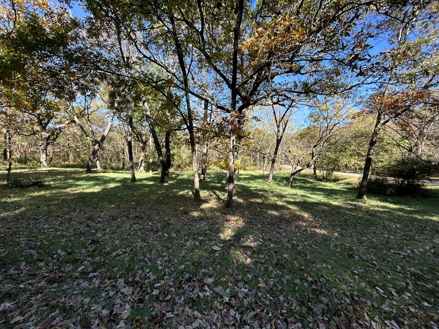 919 Missouri Drive Dixon, IL 61021 - Photo 15 of 18 a view of a park