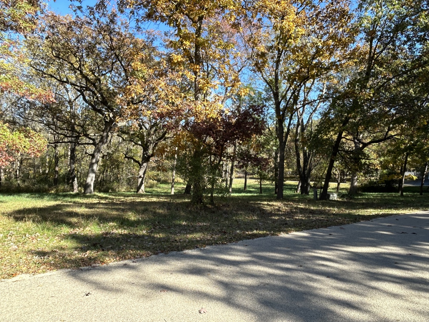 919 Missouri Drive Dixon, IL 61021 - Photo 16 of 18 a view of a yard