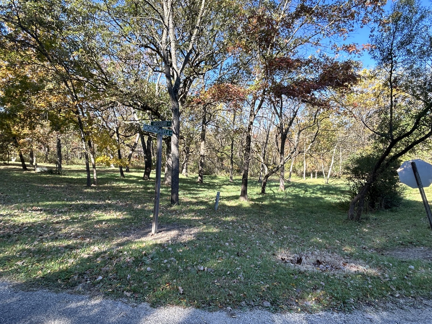 919 Missouri Drive Dixon, IL 61021 - Photo 17 of 18 a view of a park with large trees