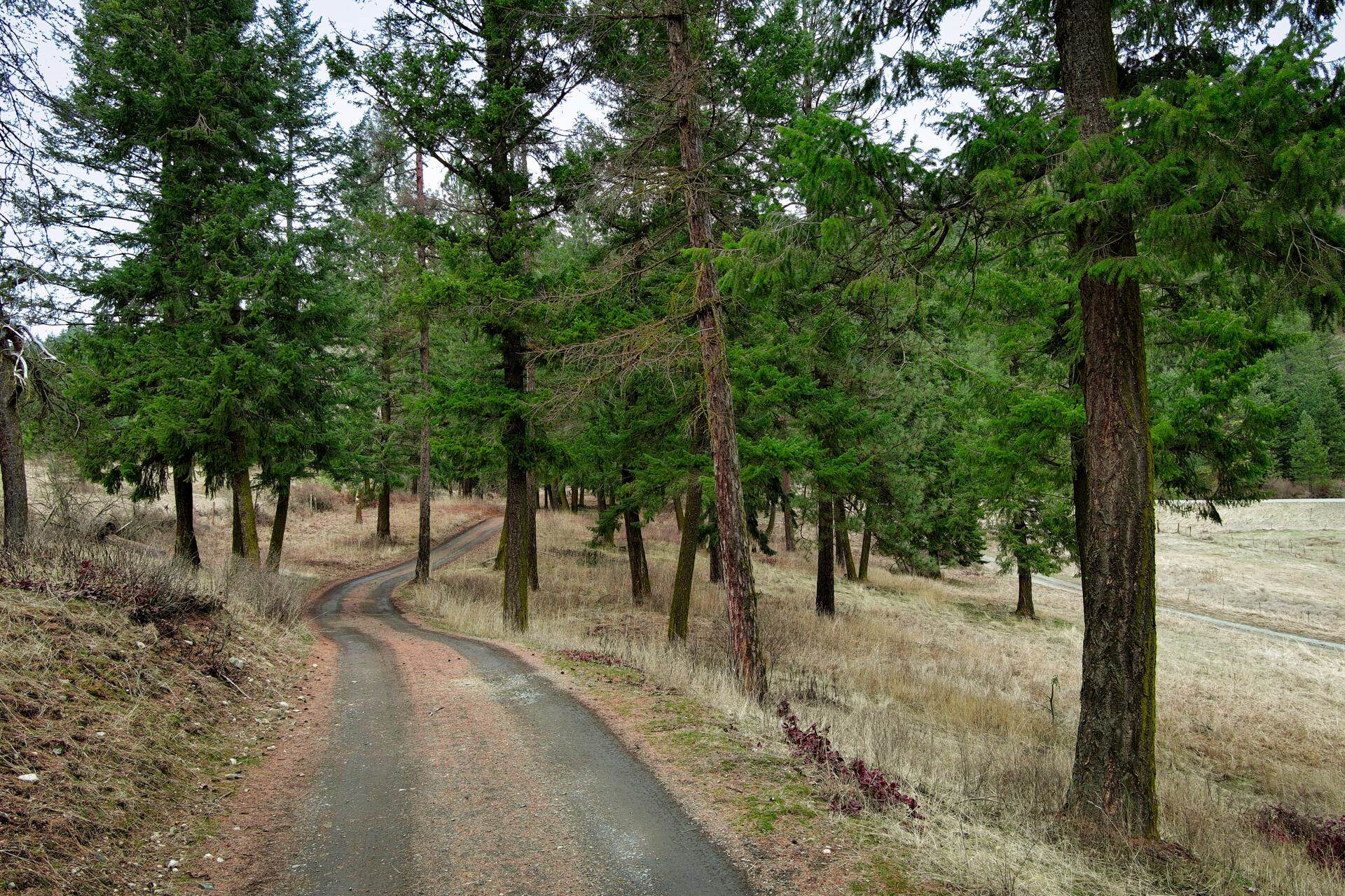 2063 A Marble Valley-Basin Road Addy, WA 99101 - Photo 14 of 35