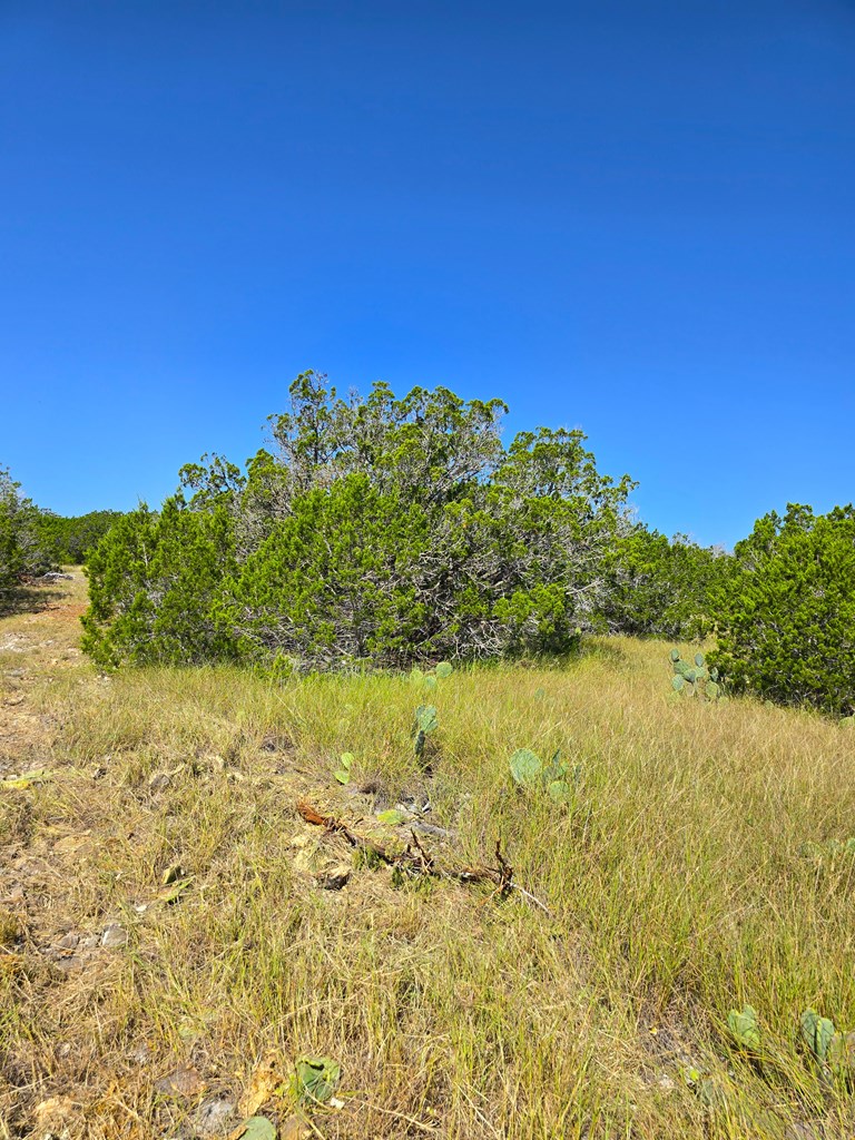 227 Mitchell Ranch Road Camp Wood, TX 78833 - Photo 23 of 72