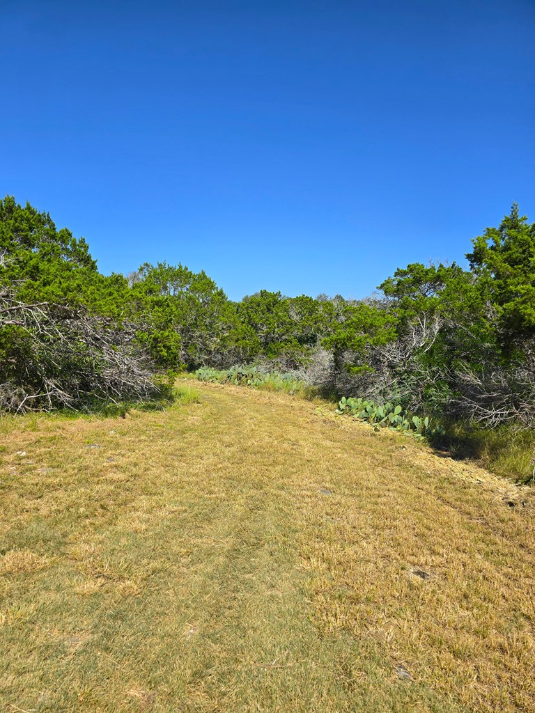 227 Mitchell Ranch Road Camp Wood, TX 78833 - Photo 24 of 72