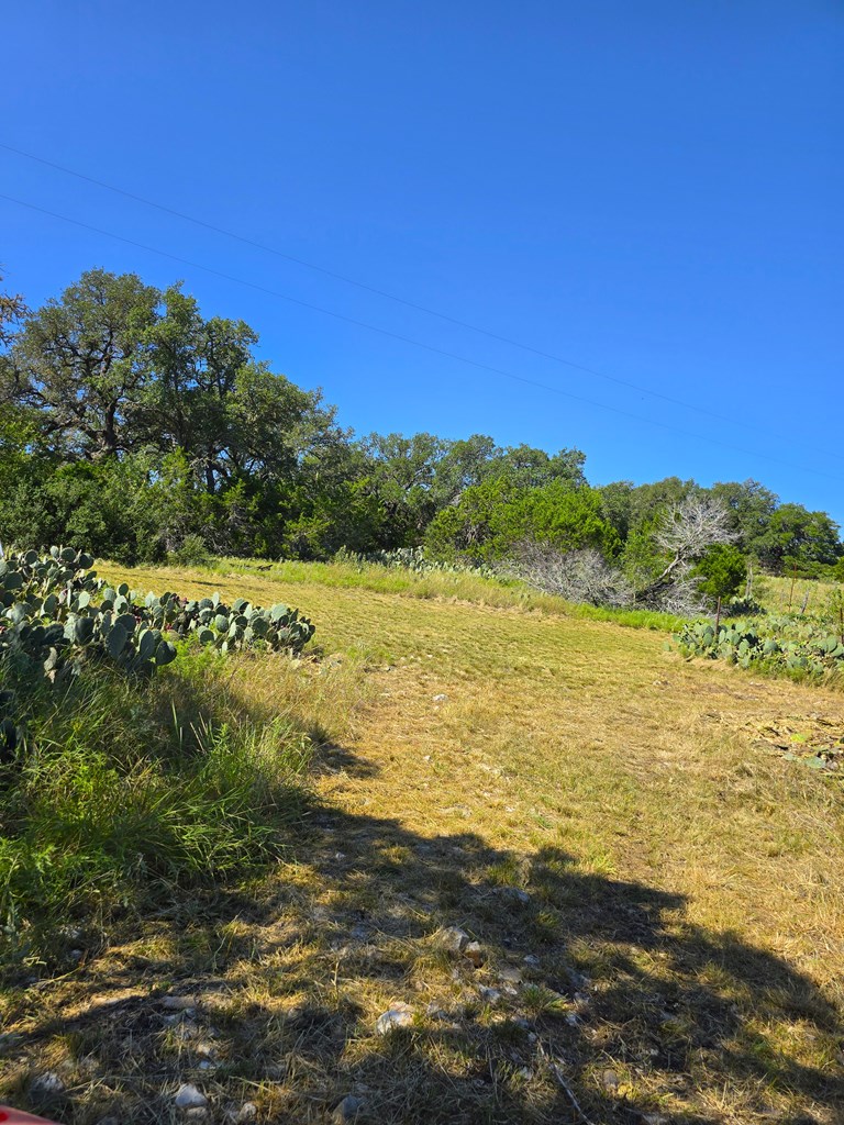 227 Mitchell Ranch Road Camp Wood, TX 78833 - Photo 25 of 72
