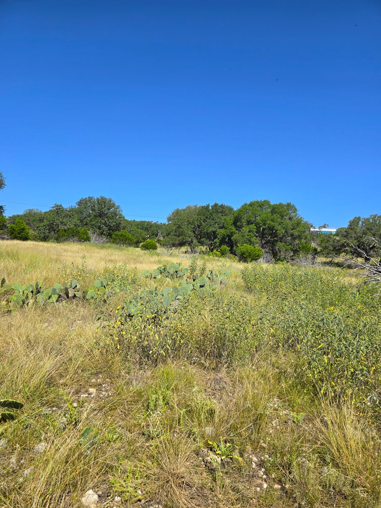227 Mitchell Ranch Road Camp Wood, TX 78833 - Photo 29 of 72