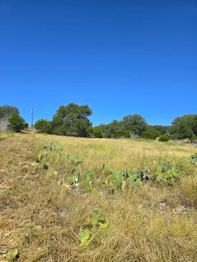 227 Mitchell Ranch Road Camp Wood, TX 78833 - Photo 30 of 72