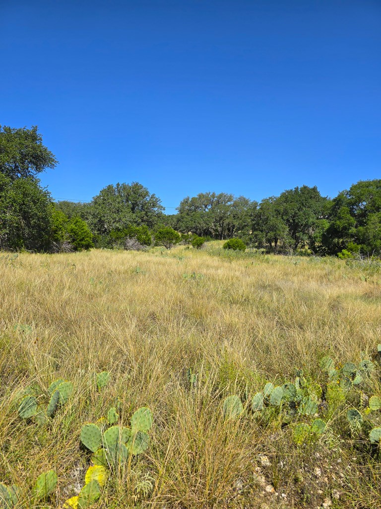 227 Mitchell Ranch Road Camp Wood, TX 78833 - Photo 32 of 72