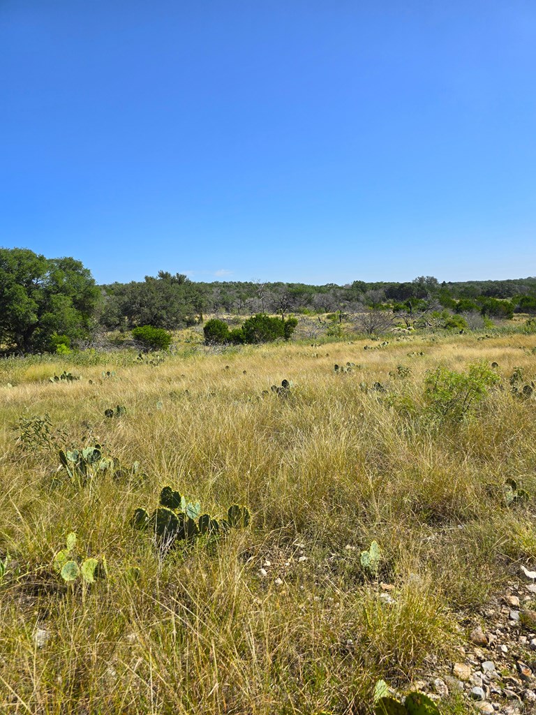 227 Mitchell Ranch Road Camp Wood, TX 78833 - Photo 33 of 72