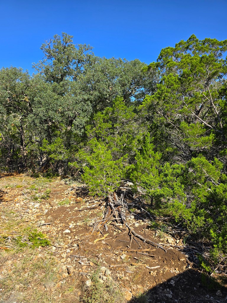 227 Mitchell Ranch Road Camp Wood, TX 78833 - Photo 39 of 72