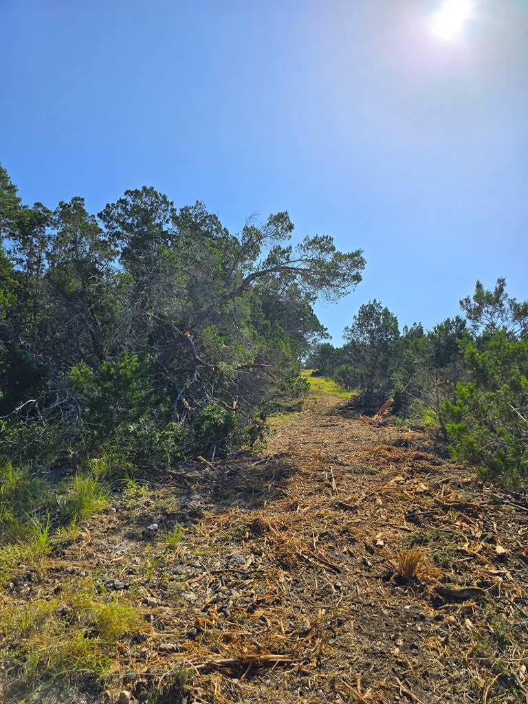227 Mitchell Ranch Road Camp Wood, TX 78833 - Photo 42 of 72