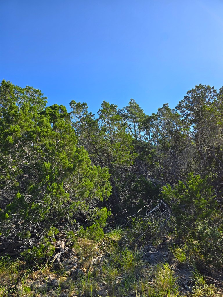 227 Mitchell Ranch Road Camp Wood, TX 78833 - Photo 43 of 72