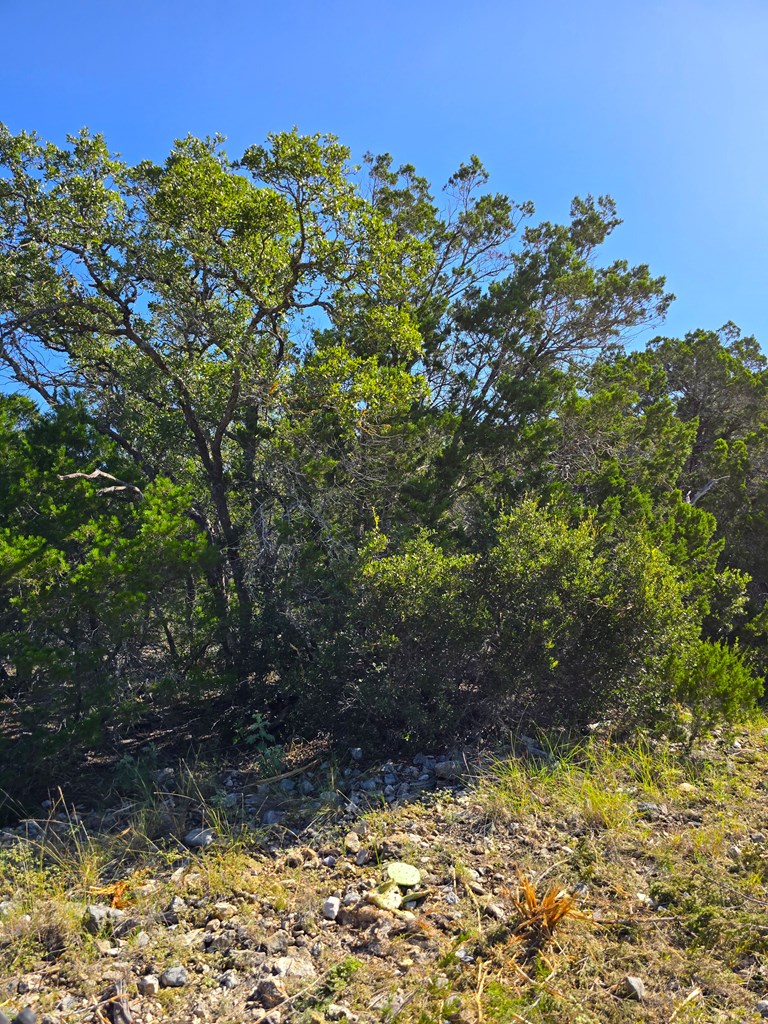 227 Mitchell Ranch Road Camp Wood, TX 78833 - Photo 47 of 72
