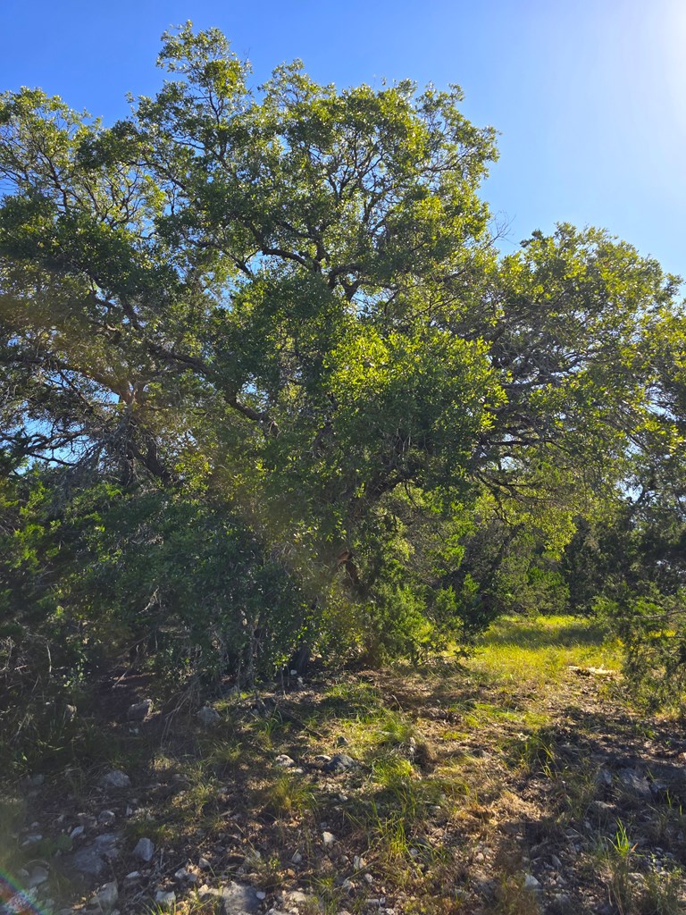 227 Mitchell Ranch Road Camp Wood, TX 78833 - Photo 48 of 72