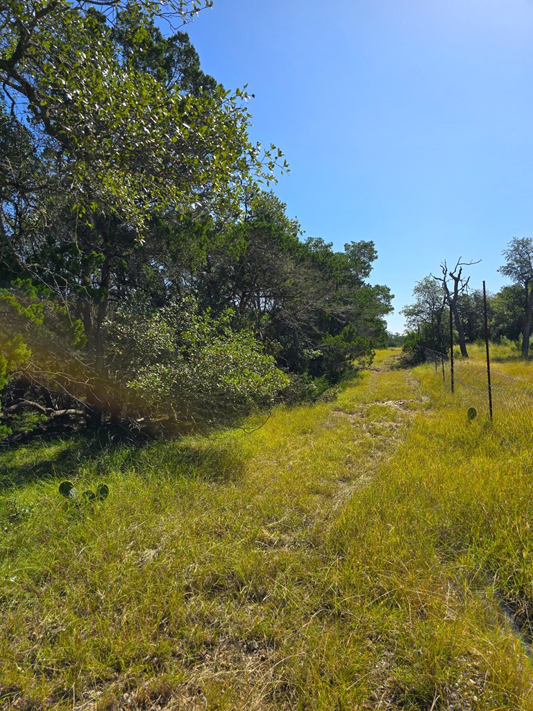 227 Mitchell Ranch Road Camp Wood, TX 78833 - Photo 50 of 72