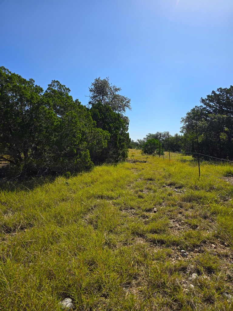 227 Mitchell Ranch Road Camp Wood, TX 78833 - Photo 51 of 72