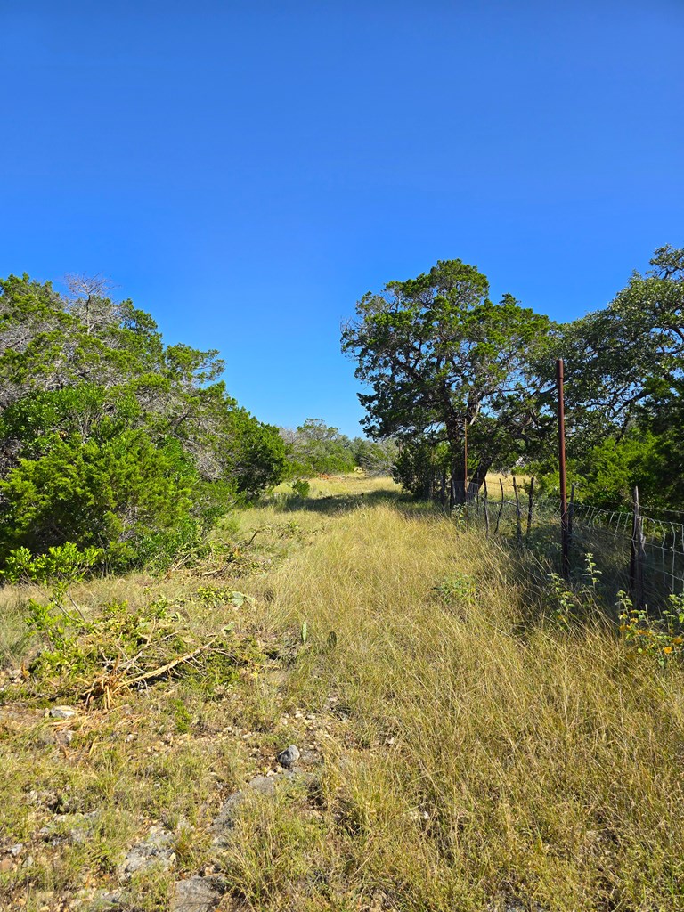 227 Mitchell Ranch Road Camp Wood, TX 78833 - Photo 53 of 72