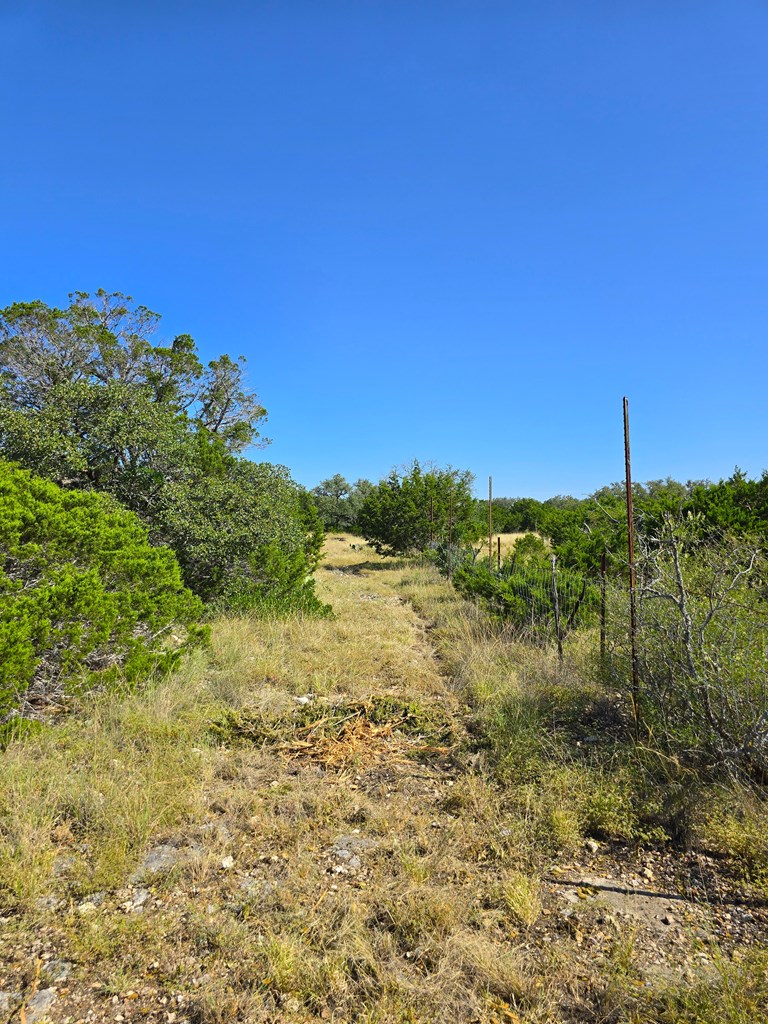 227 Mitchell Ranch Road Camp Wood, TX 78833 - Photo 54 of 72