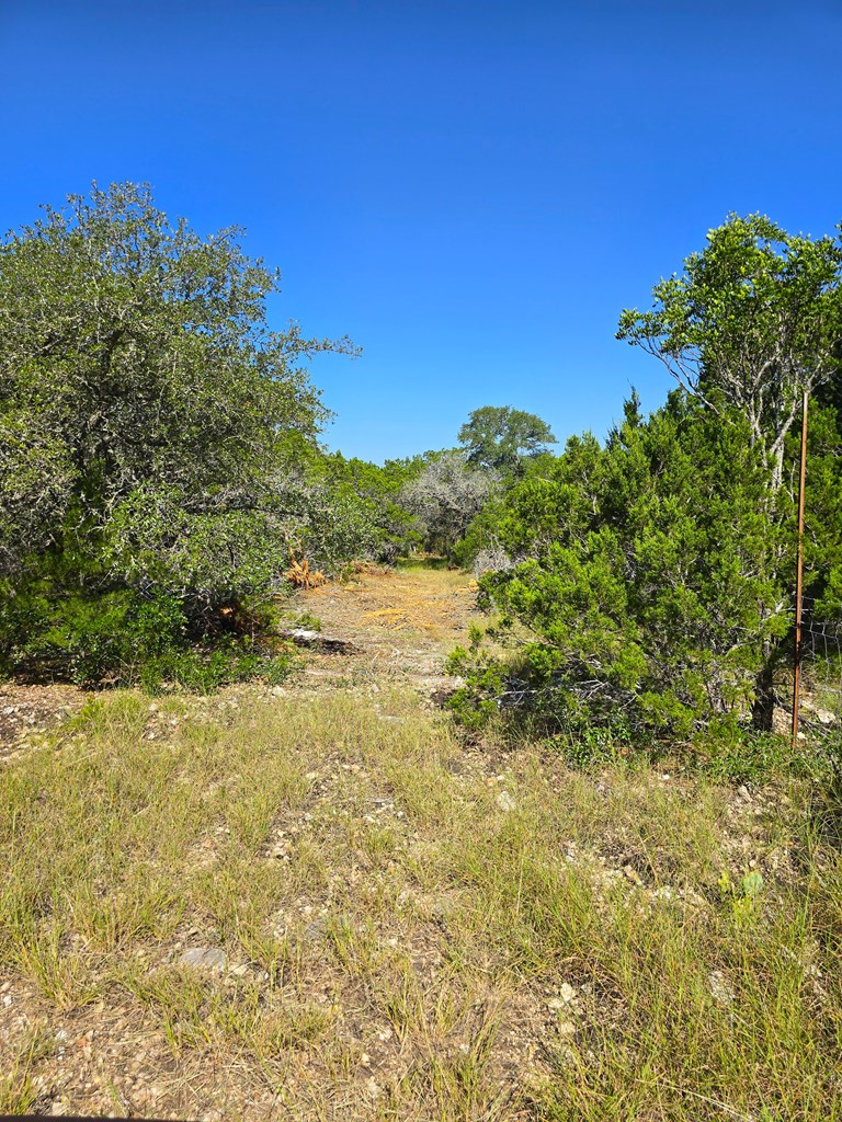 227 Mitchell Ranch Road Camp Wood, TX 78833 - Photo 56 of 72