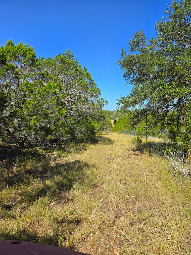 227 Mitchell Ranch Road Camp Wood, TX 78833 - Photo 57 of 72