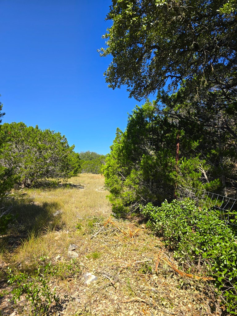 227 Mitchell Ranch Road Camp Wood, TX 78833 - Photo 59 of 72
