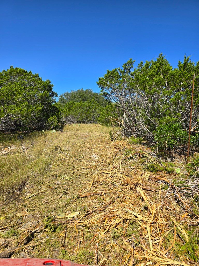 227 Mitchell Ranch Road Camp Wood, TX 78833 - Photo 60 of 72