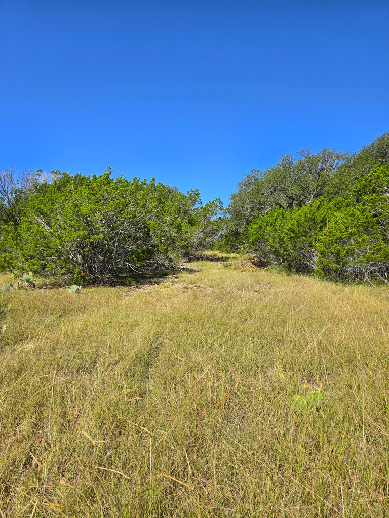 227 Mitchell Ranch Road Camp Wood, TX 78833 - Photo 63 of 72