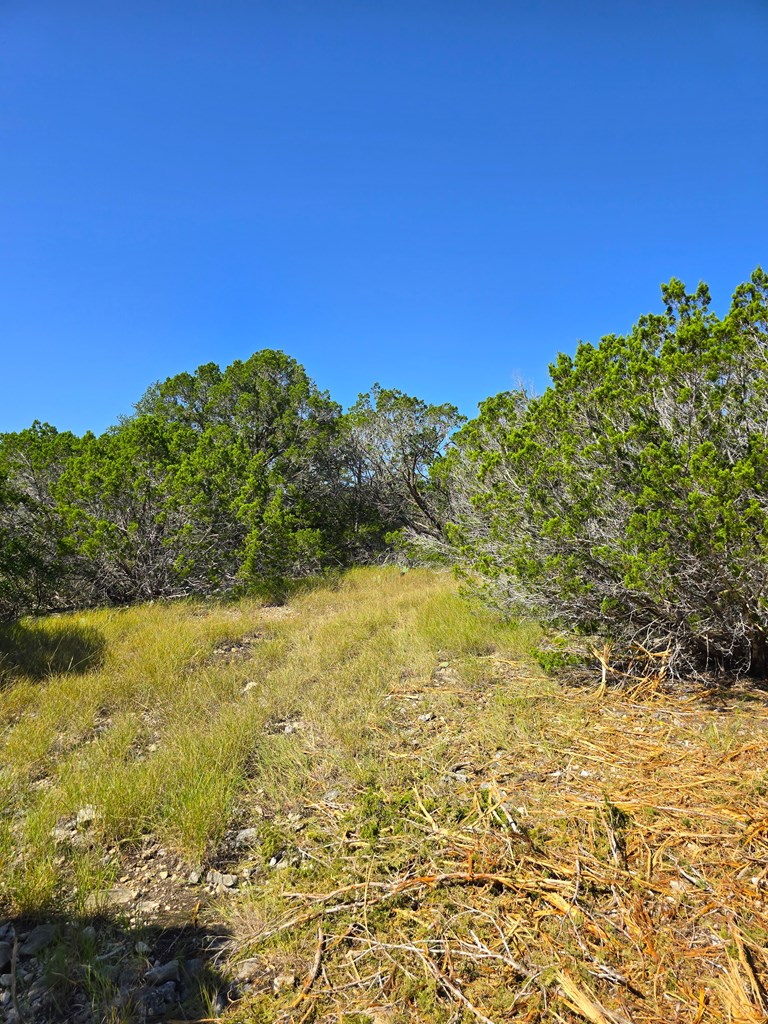 227 Mitchell Ranch Road Camp Wood, TX 78833 - Photo 67 of 72