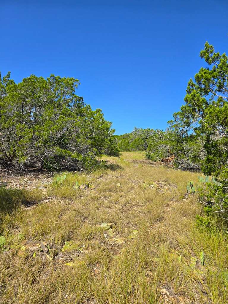 227 Mitchell Ranch Road Camp Wood, TX 78833 - Photo 69 of 72
