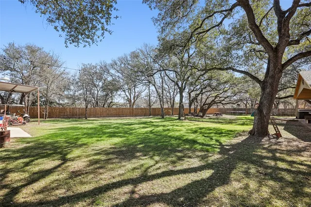a tree in the middle of a yard