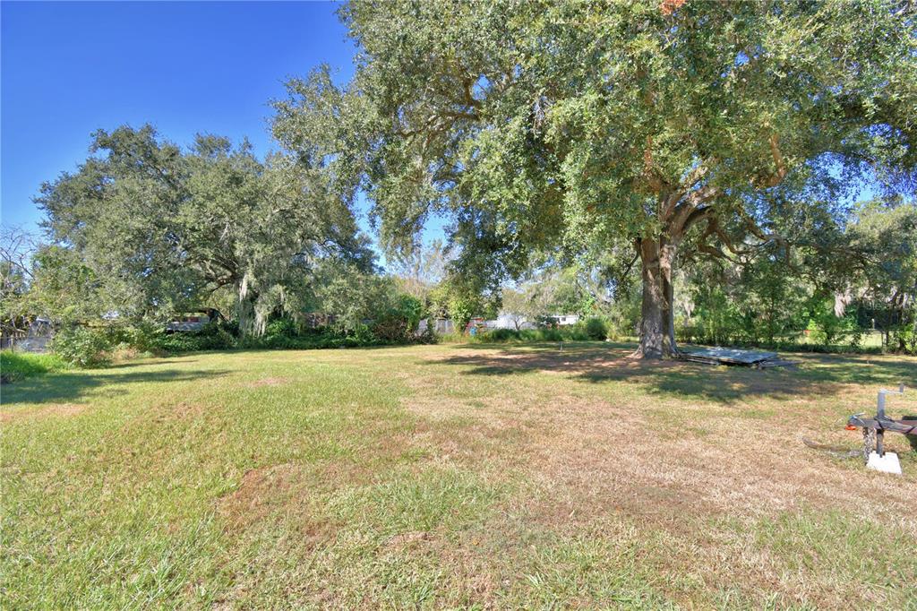 6960 2nd Street Mulberry, FL 33860 - Photo 39 of 39 a view of a yard with large trees