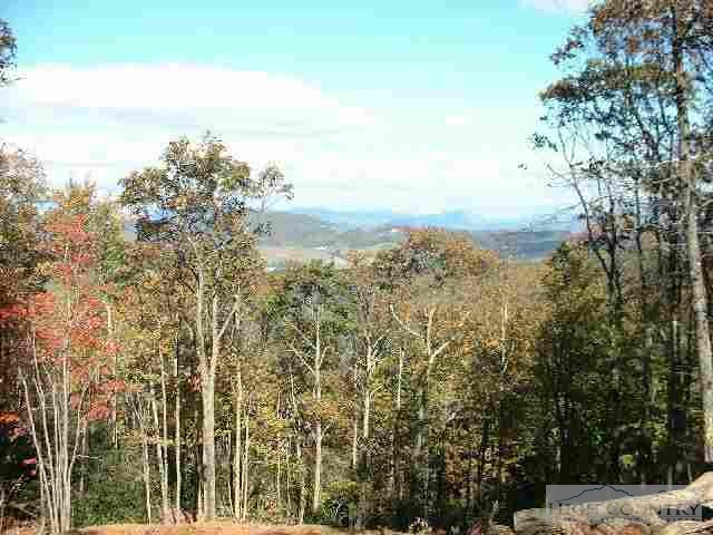 Lot 6 Cloud Nine Boone, NC 28607 - Photo 1 of 1 Gallery Image 1