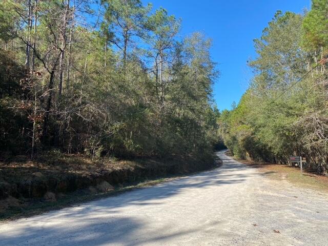 Lot 49 Spring Lake Road, Unit Q&R DeFuniak Springs, FL 32433 - Photo 3 of 6 a view of a yard with plants and trees