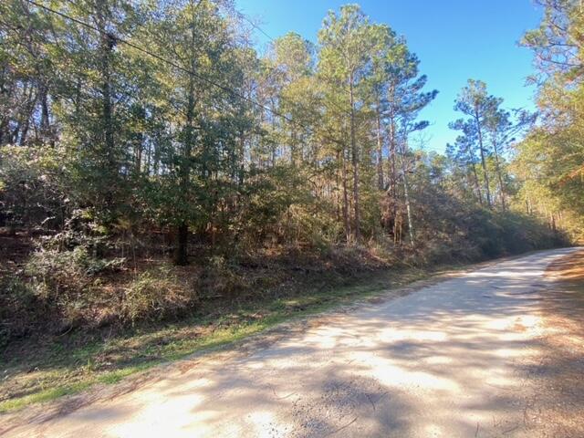 Lot 49 Spring Lake Road, Unit Q&R DeFuniak Springs, FL 32433 - Photo 5 of 6 a view of a yard with a tree