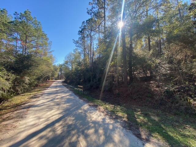 Lot 49 Spring Lake Road, Unit Q&R DeFuniak Springs, FL 32433 - Photo 6 of 6 a view of a yard