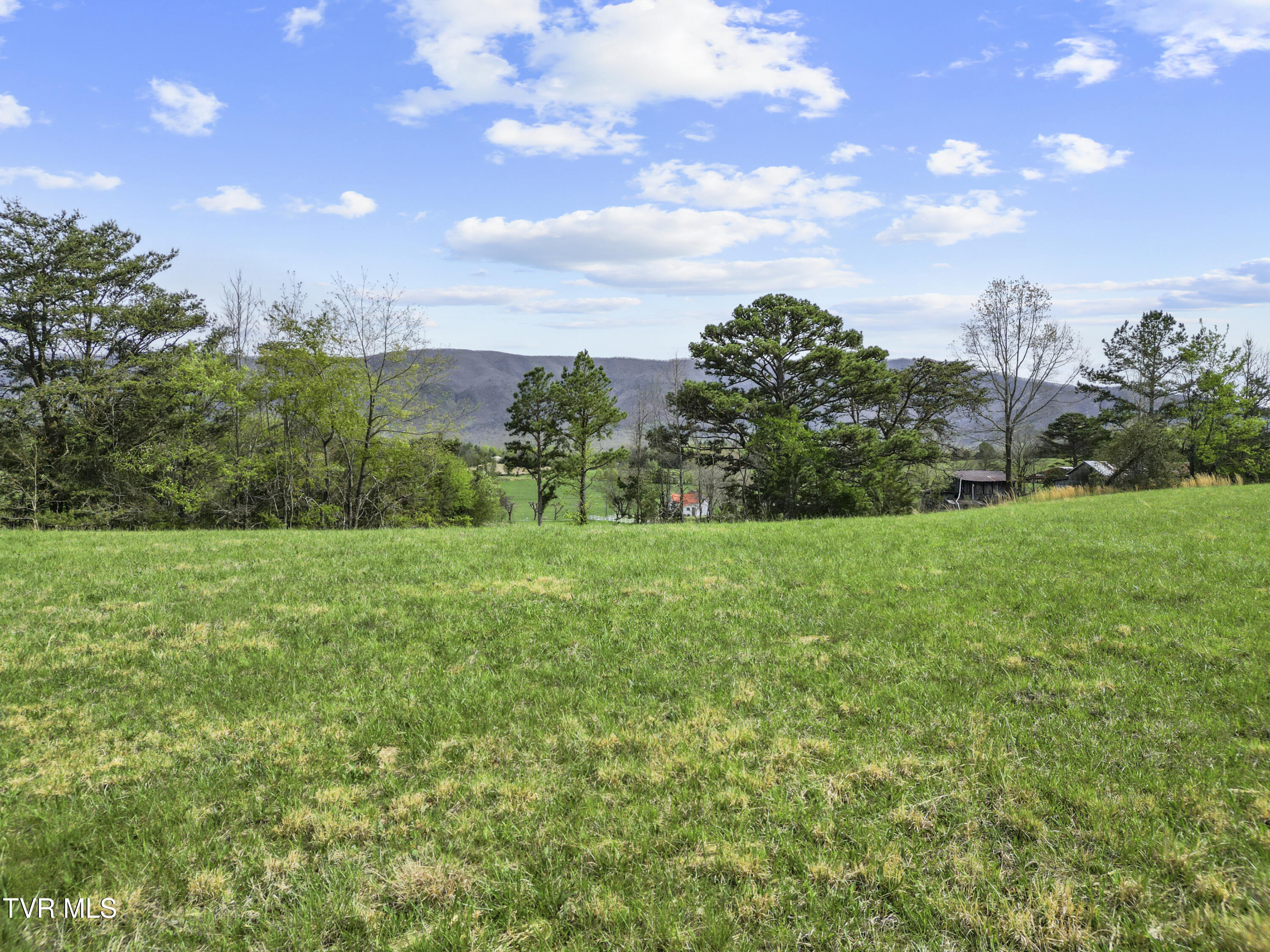 1 Red Hill Road, Unit TRACT 1 Greeneville, TN 37743 - Photo 9 of 15 DJI_0255