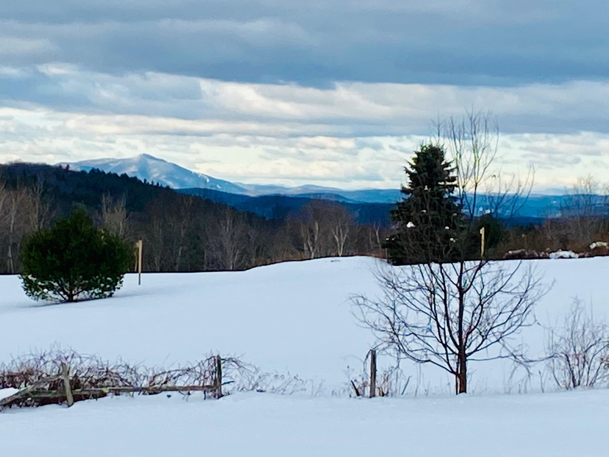 25 Wolfeboro Road Hanover, NH 03750 - Photo 44 of 49