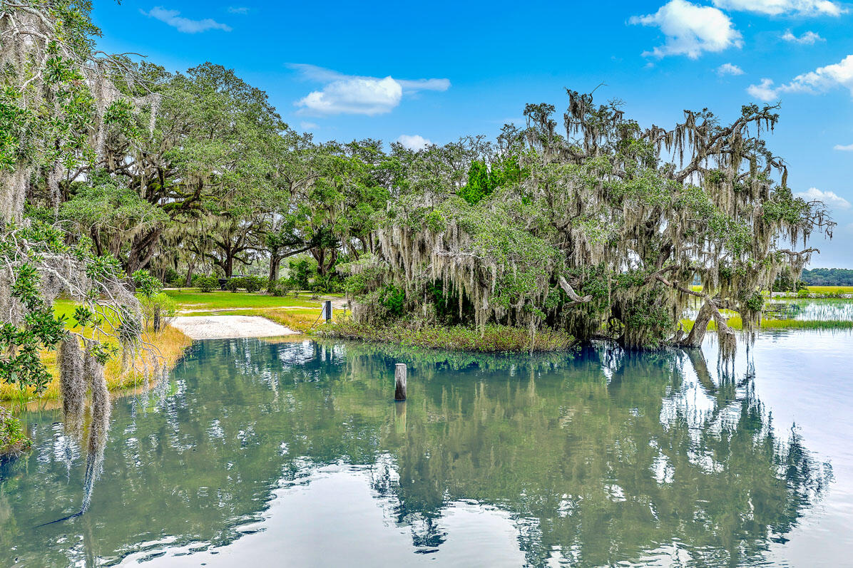 0 Back Forty Road Wadmalaw Island, SC 29487 - Photo 20 of 21 Selkirk Plantation
