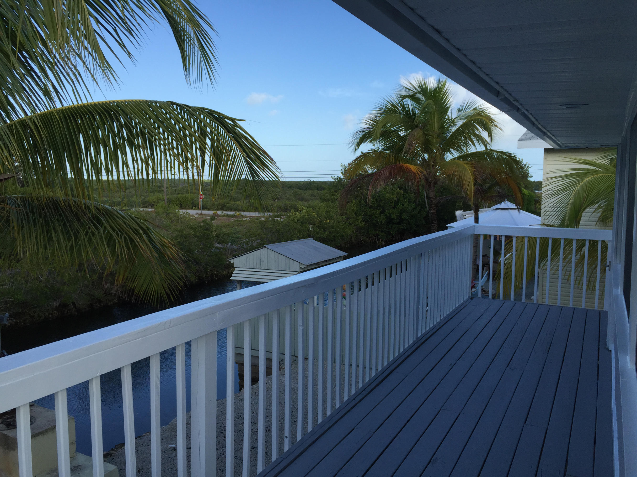 3968 Eugene Road Big Pine Key, FL 33043 - Photo 22 of 33 Wildlife View