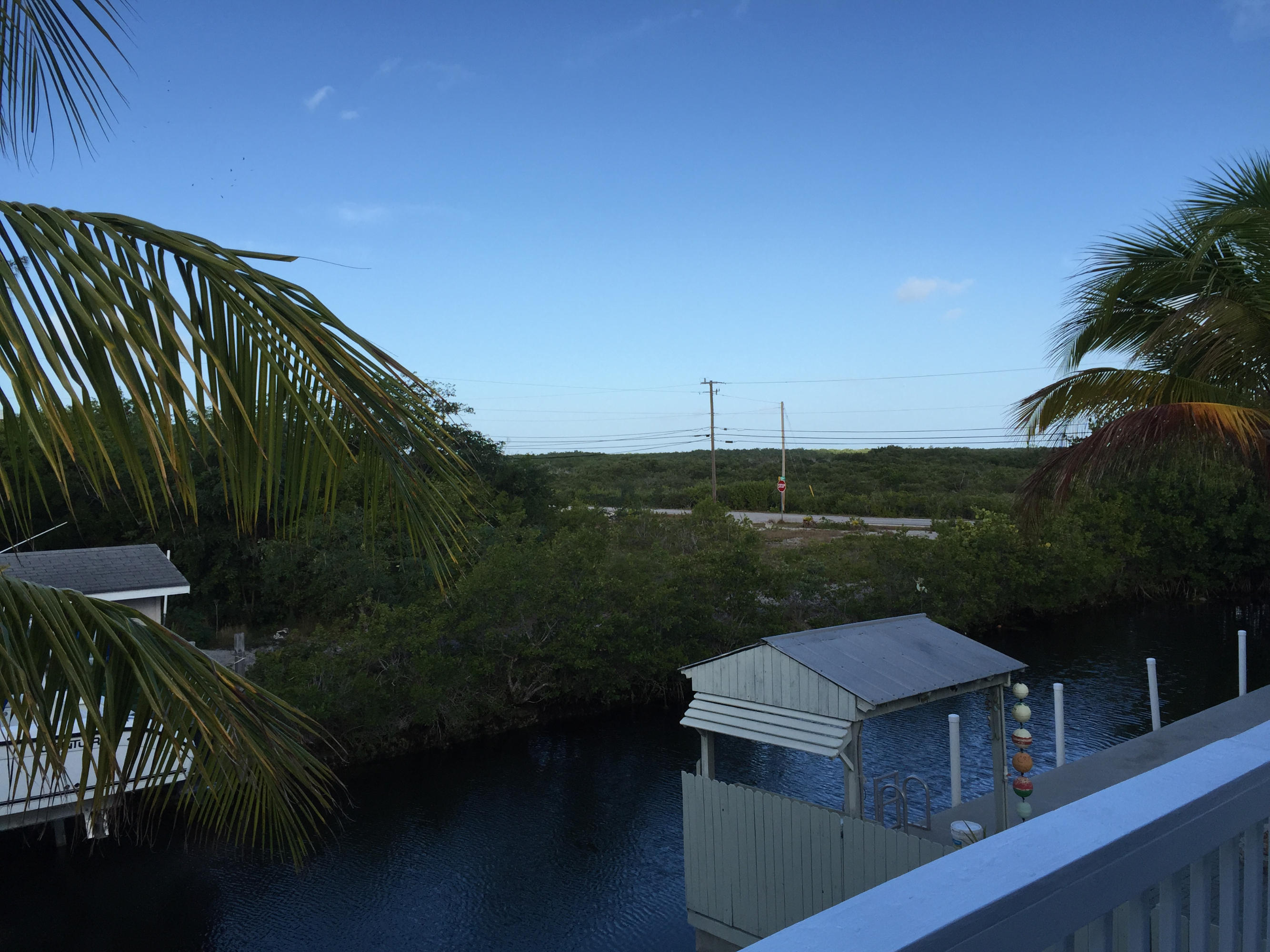 3968 Eugene Road Big Pine Key, FL 33043 - Photo 23 of 33 Wildlife View