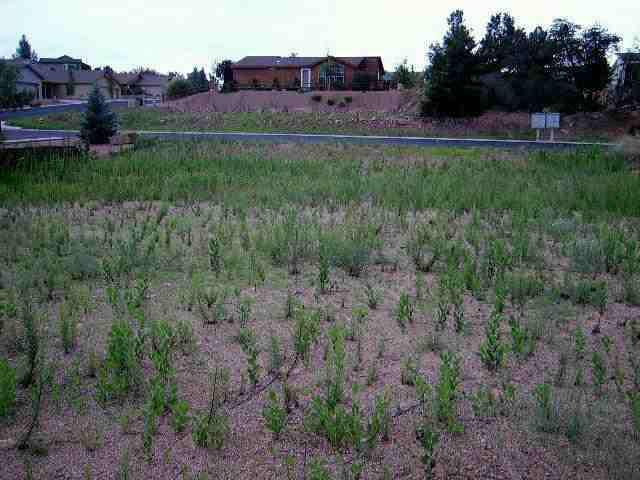 1002 West Rocky Road, Unit 16 Payson, AZ 85541 - Photo 3 of 5 Additional Photo