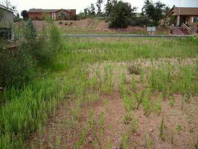 1002 West Rocky Road, Unit 16 Payson, AZ 85541 - Photo 5 of 5 Additional Photo