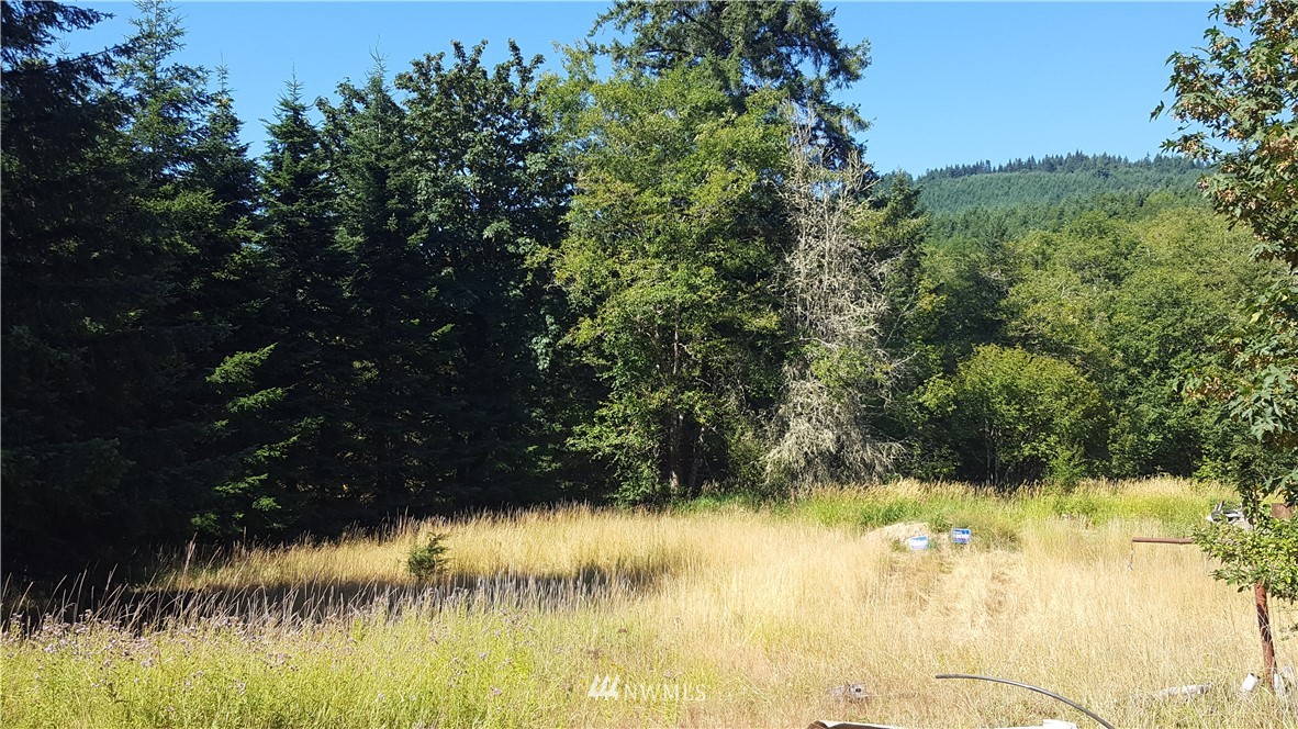 1499 King Road Winlock, WA 98596 - Photo 16 of 16 a view of lake from a yard