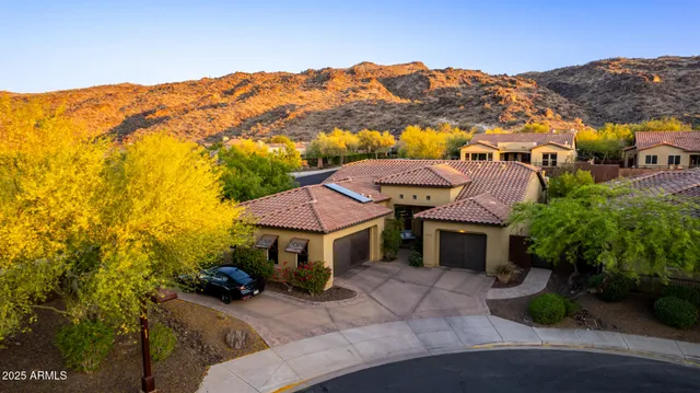a view of a house with potted plants and a large tree