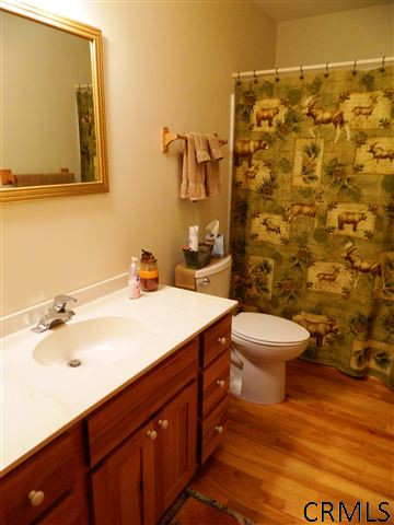 46 Simons Road Berne, NY 12023 - Photo 11 of 15 Photo 11