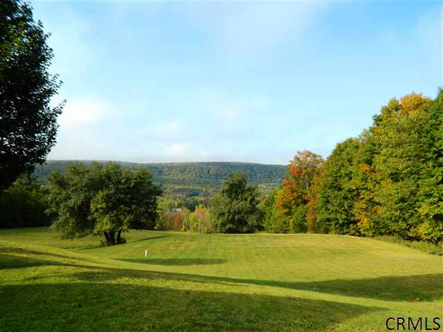 46 Simons Road Berne, NY 12023 - Photo 15 of 15 Photo 15