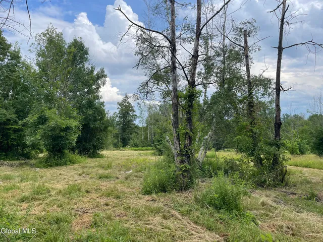 $99,000 | Lot 2 Wagner Road, Glenville, NY 12302