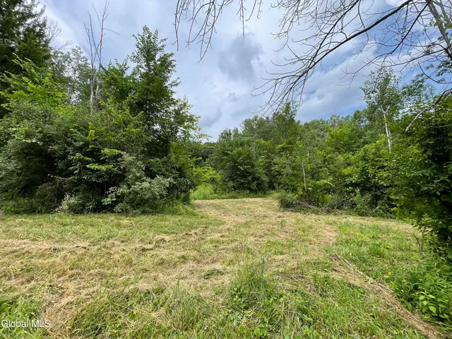 $99,000 | Lot 2 Wagner Road, Glenville, NY 12302